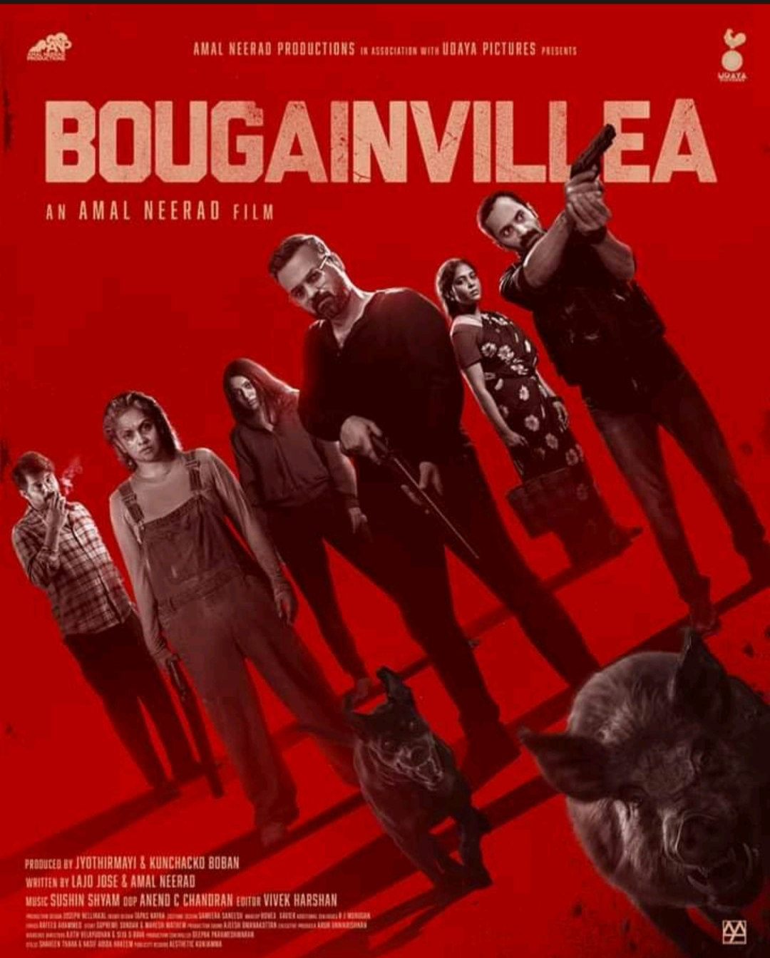 Bougainvillea poster