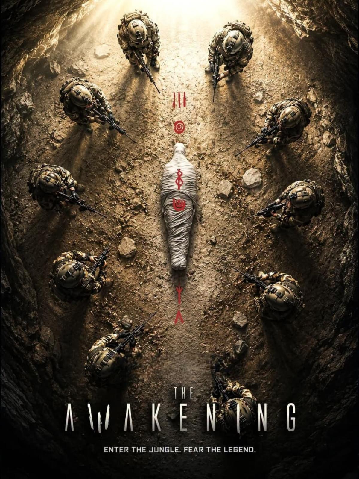 The Awakening poster