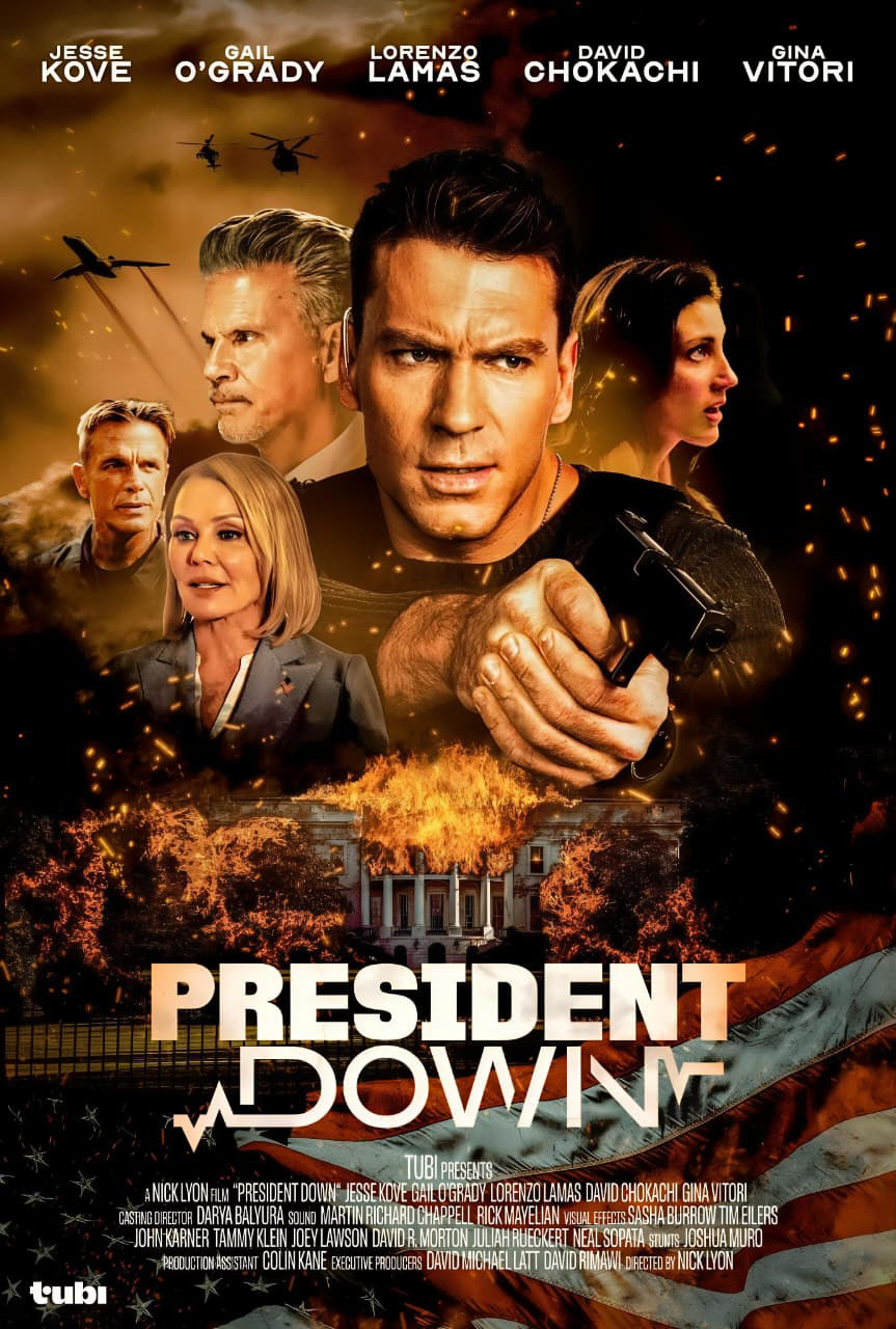 President Down poster artwork