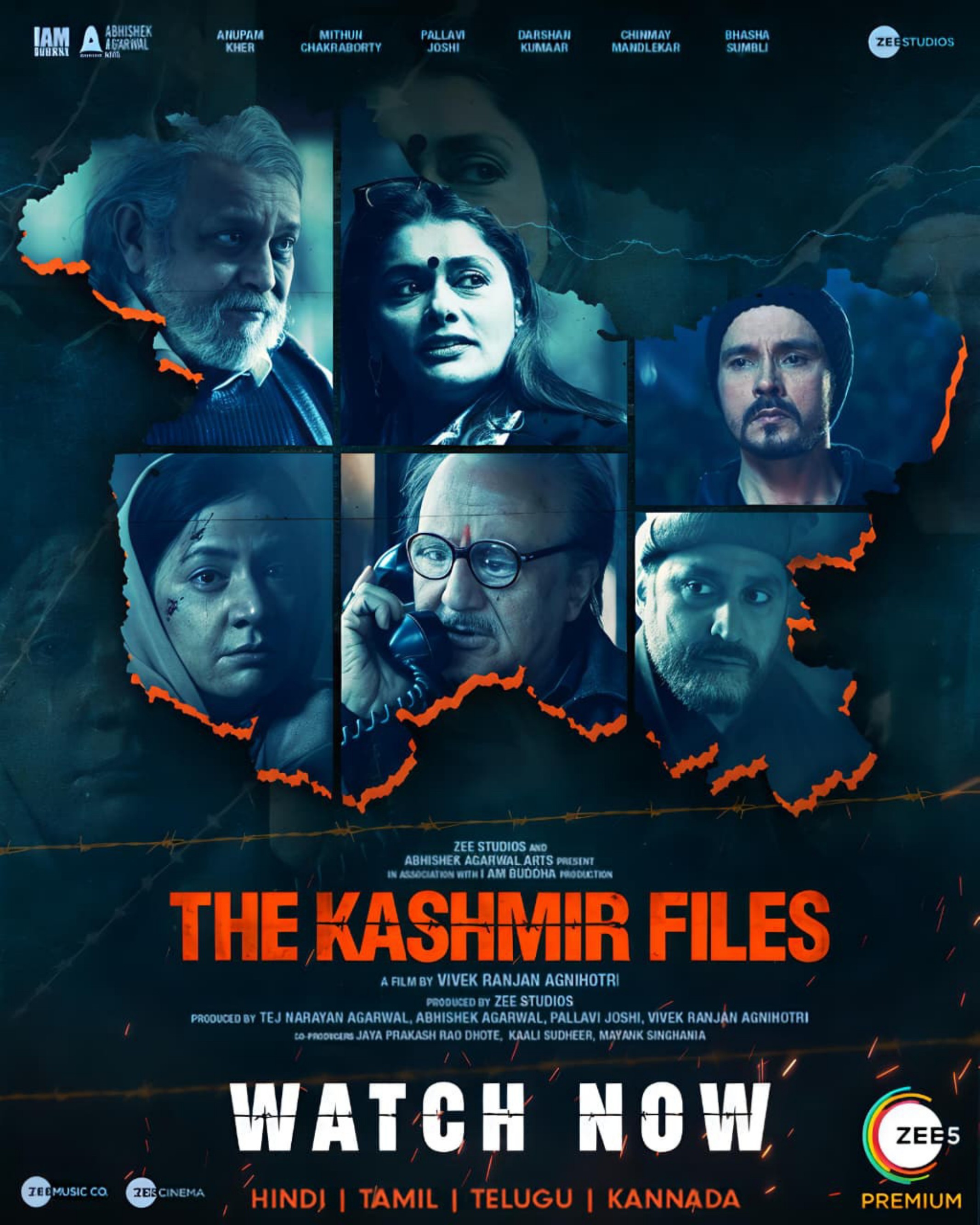 The Kashmir Files poster artwork